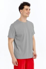 Erkek Regular Gri T-Shirt - Görsel 6
