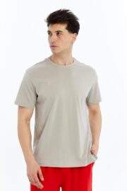 Erkek Regular Taş T-Shirt - Görsel 5