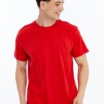 Erkek Regular Kırmızı T-Shirt